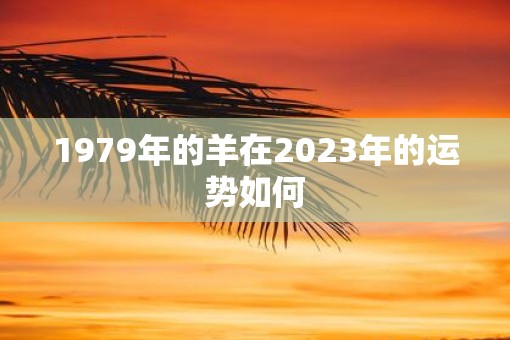 1979年的羊在2023年的运势如何