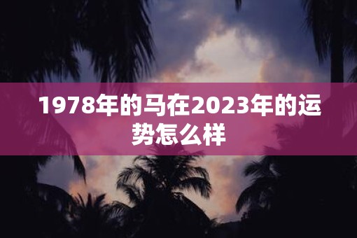 1978年的马在2023年的运势怎么样