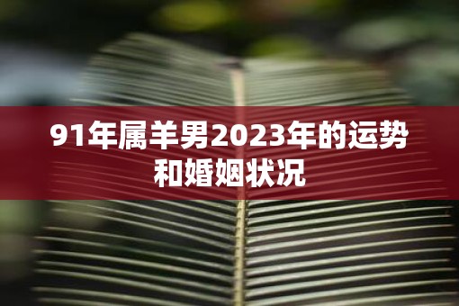 91年属羊男2023年的运势和婚姻状况