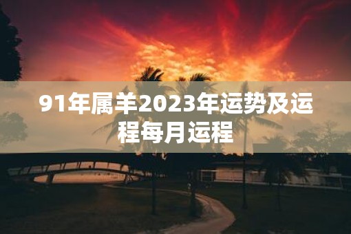 91年属羊2023年运势及运程每月运程