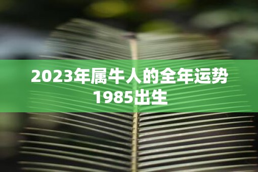 2023年属牛人的全年运势1985出生