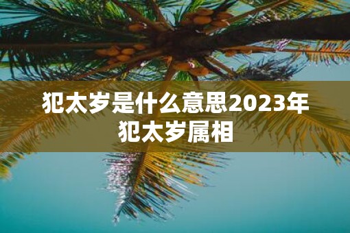 犯太岁是什么意思2023年犯太岁属相