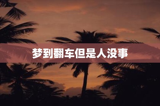 梦到翻车但是人没事