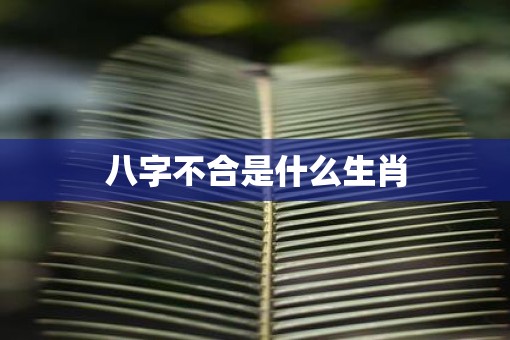 八字不合是什么生肖