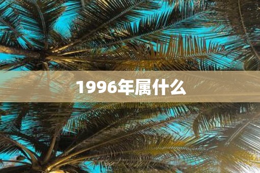 1996年属什么