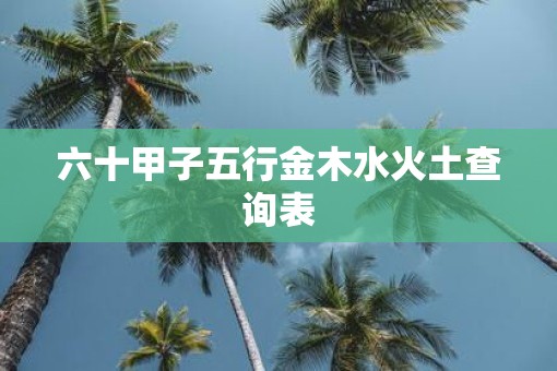 六十甲子五行金木水火土查询表