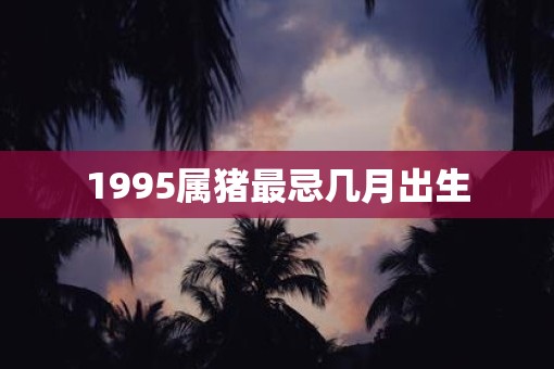 1995属猪最忌几月出生