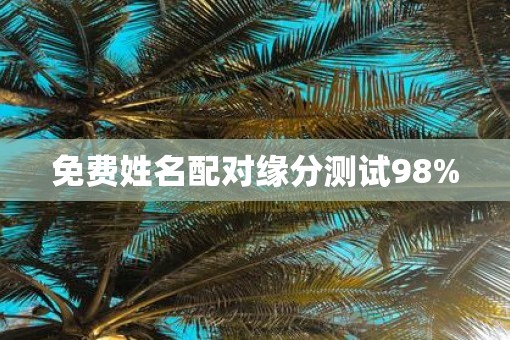 免费姓名配对缘分测试98%