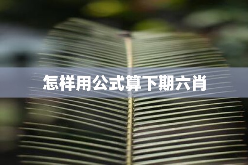 怎样用公式算下期六肖