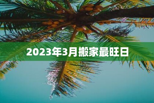 2023年3月搬家最旺日