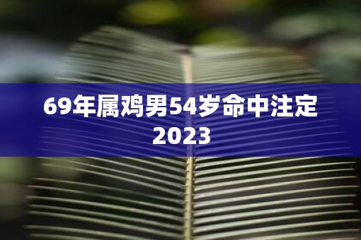 69年属鸡男54岁命中注定2023