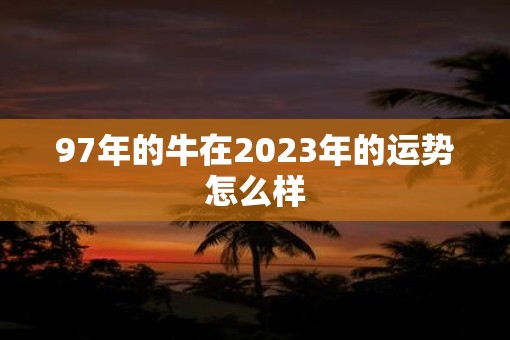 97年的牛在2023年的运势怎么样