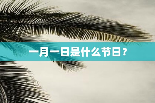 一月一日是什么节日？