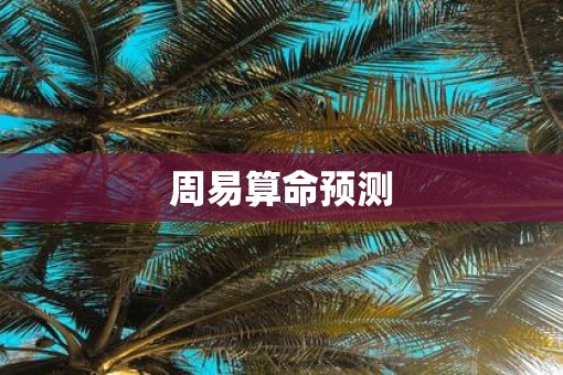 周易算命预测