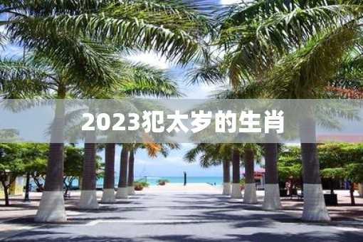 2023犯太岁的生肖