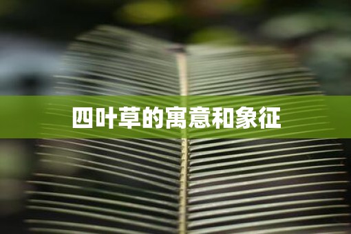 四叶草的寓意和象征