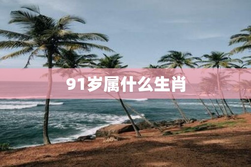 91岁属什么生肖