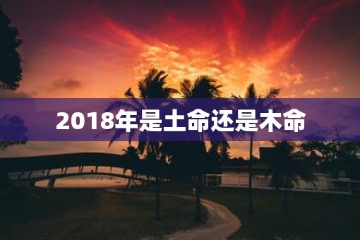 2018年是土命还是木命