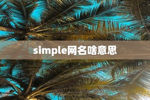 simple网名啥意思