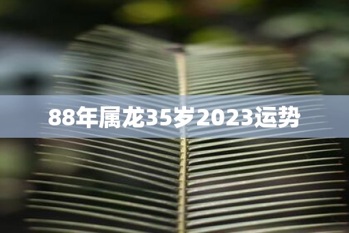 88年属龙35岁2023运势