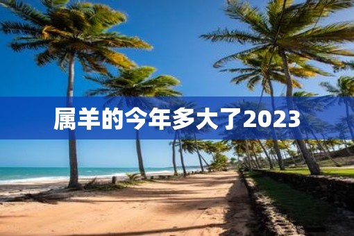 属羊的今年多大了2023