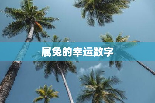 属兔的幸运数字