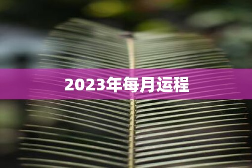 2023年每月运程