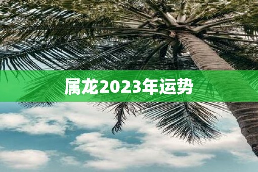 属龙2023年运势