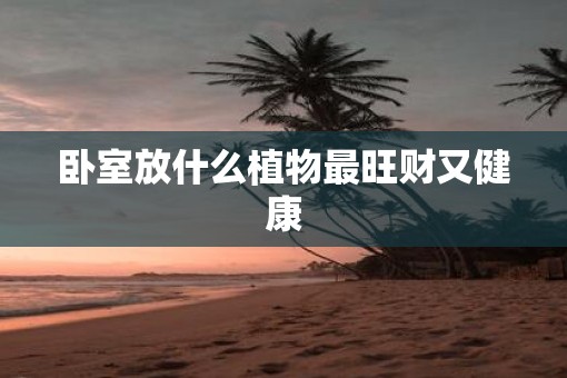 卧室放什么植物最旺财又健康