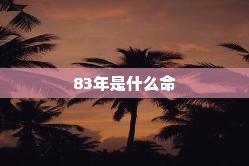 83年是什么命