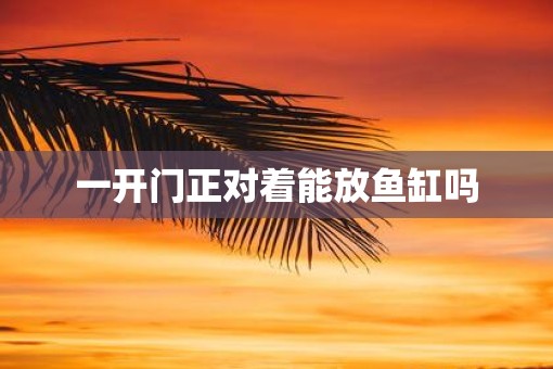 一开门正对着能放鱼缸吗