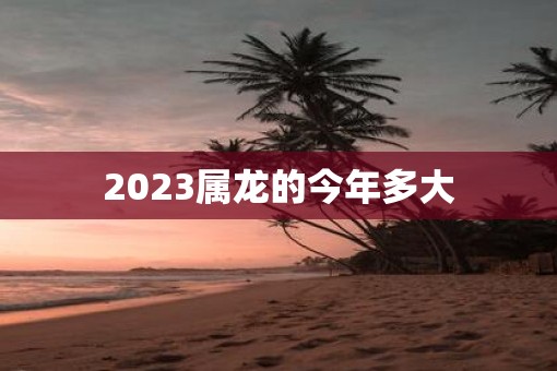 2023属龙的今年多大