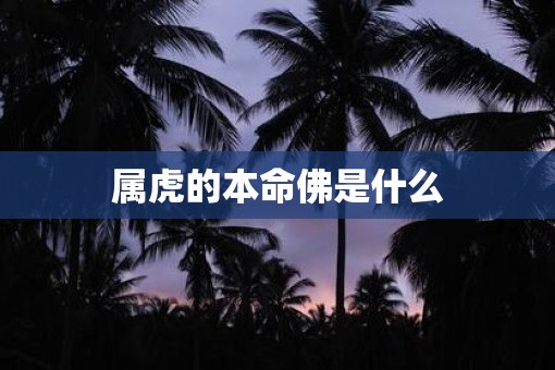 属虎的本命佛是什么