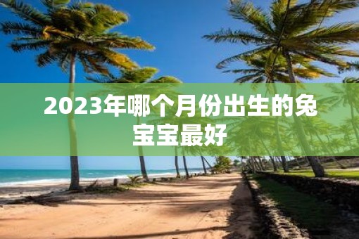 2023年哪个月份出生的兔宝宝最好