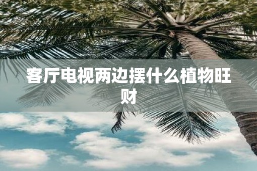 客厅电视两边摆什么植物旺财