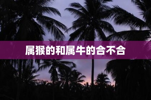 属猴的和属牛的合不合