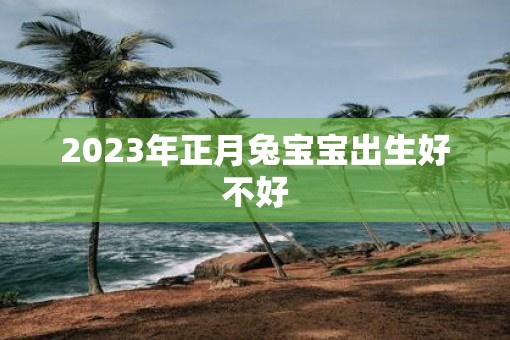 2023年正月兔宝宝出生好不好