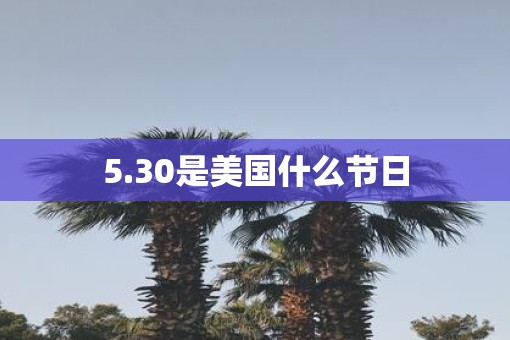 5.30是美国什么节日