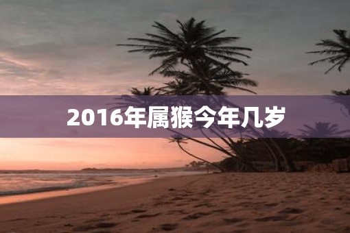 2016年属猴今年几岁