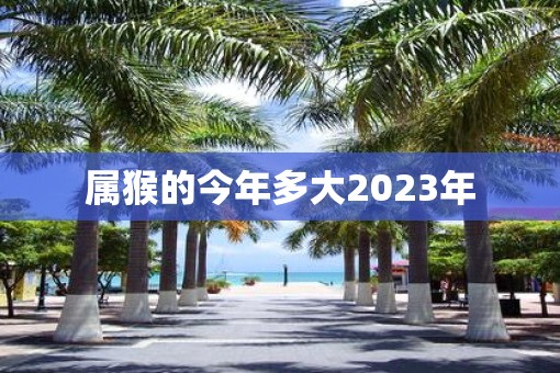 属猴的今年多大2023年