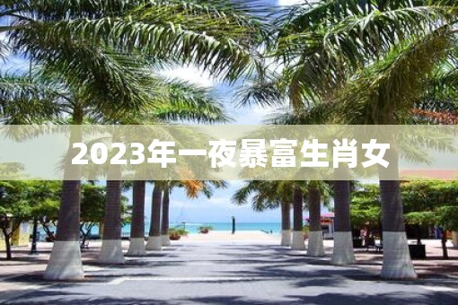 2023年一夜暴富生肖女