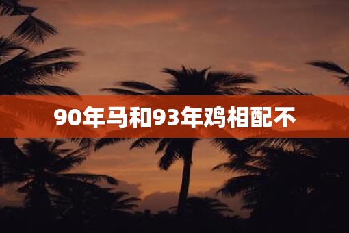 90年马和93年鸡相配不