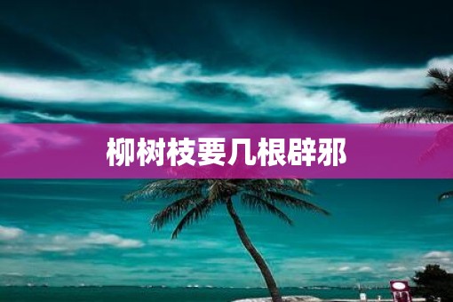 柳树枝要几根辟邪