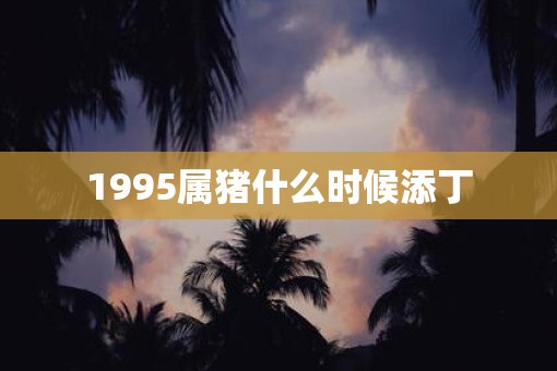 1995属猪什么时候添丁