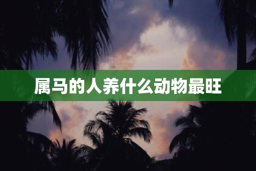 属马的人养什么动物最旺