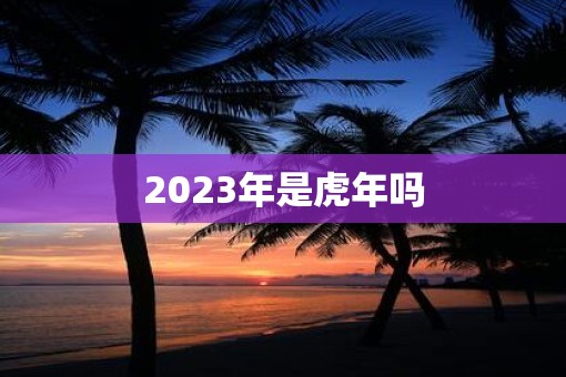 2023年是虎年吗