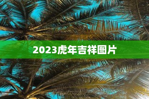 2023虎年吉祥图片