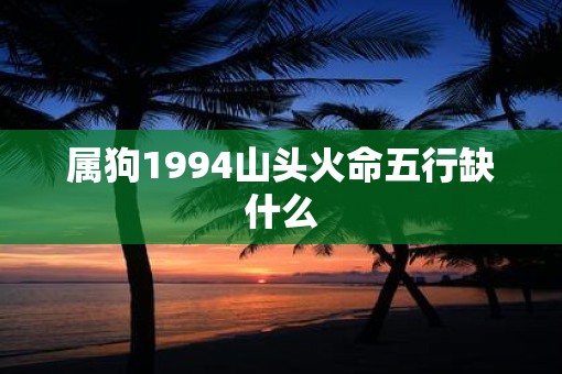 属狗1994山头火命五行缺什么