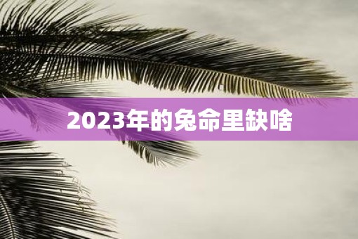 2023年的兔命里缺啥