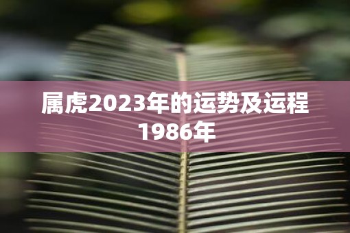 属虎2023年的运势及运程1986年